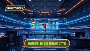 Soi Kèo Bóng Đá Mỗi Ngày Nowgoal: Bí Quyết Chinh Phục Mọi Kèo Cược
